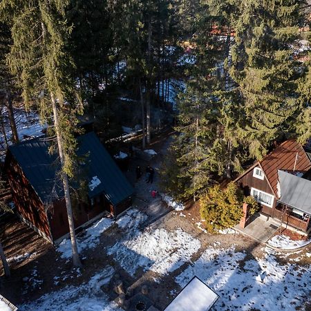 Cabana Adrienne Ізвору-Мурешулуй Екстер'єр фото