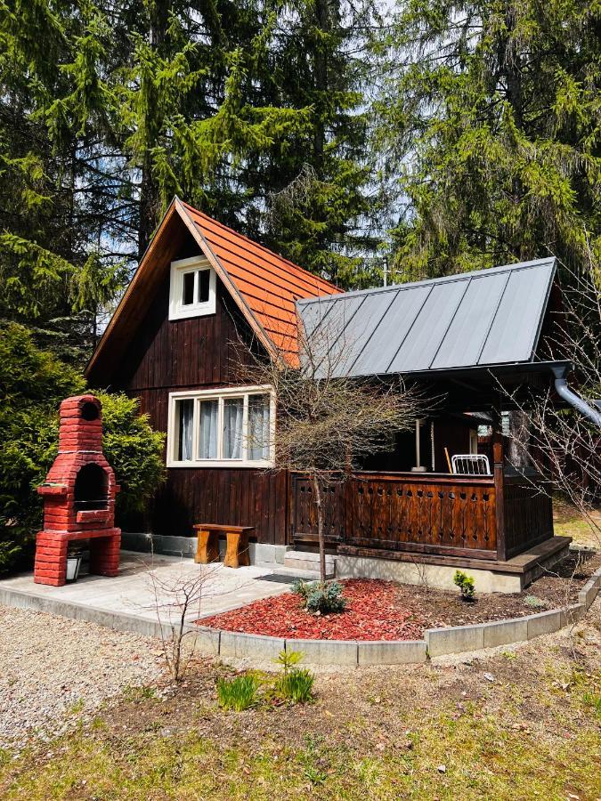 Cabana Adrienne Ізвору-Мурешулуй Екстер'єр фото
