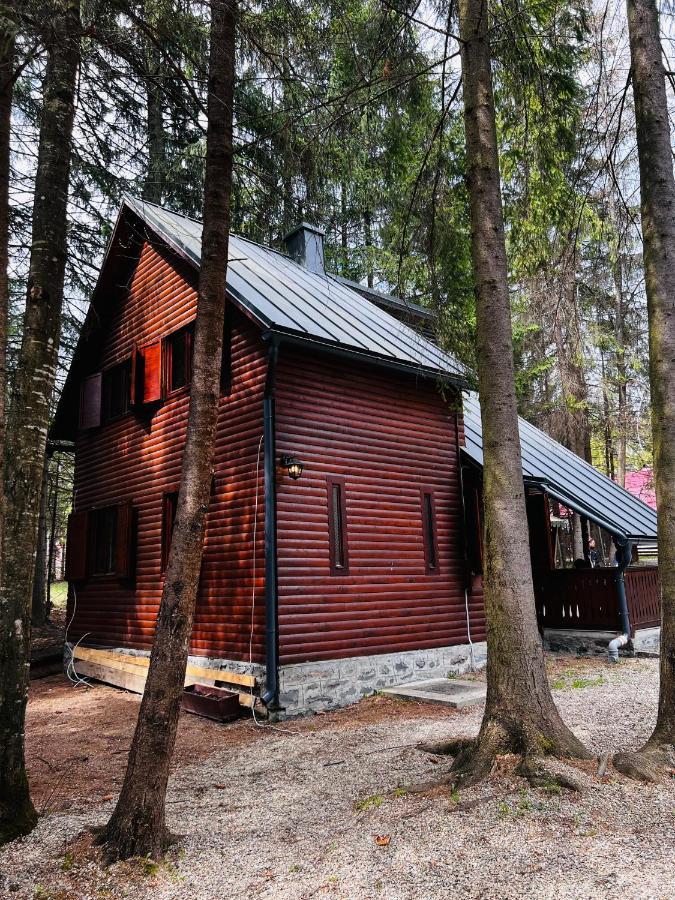 Cabana Adrienne Ізвору-Мурешулуй Екстер'єр фото